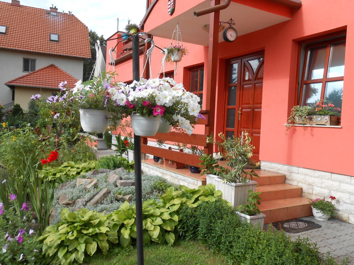 Gasthuis Aranyeso Vendeghaz Csorbai